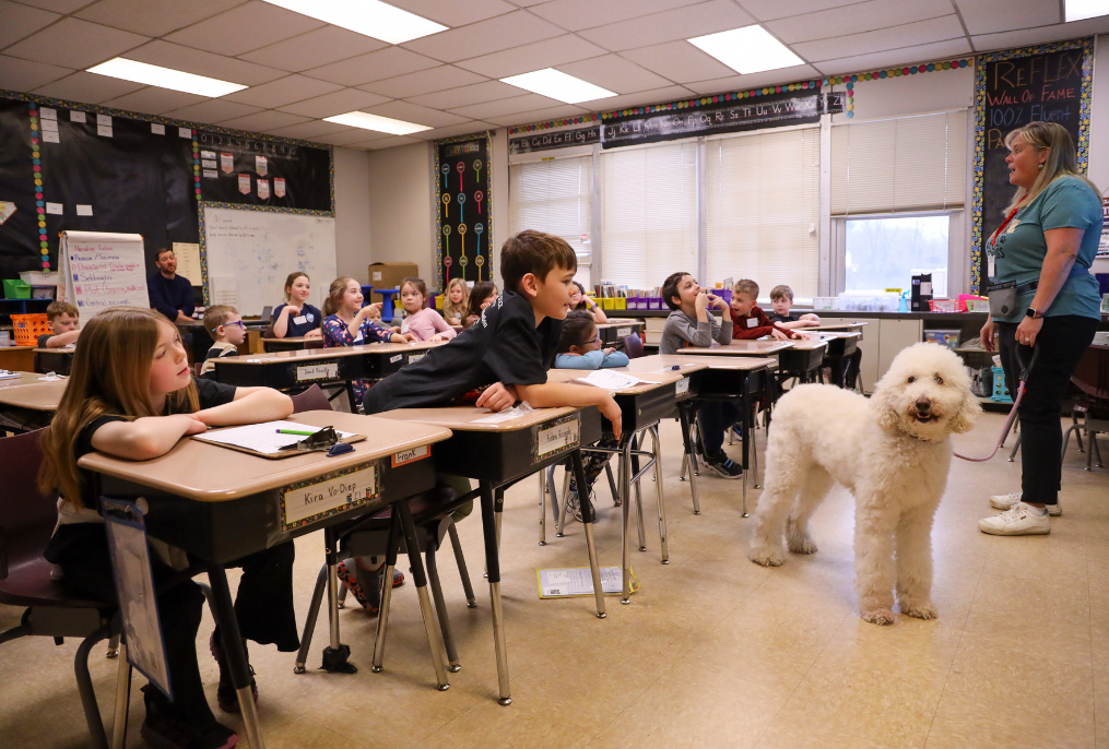 A teacher and her therapy dog in a classroom